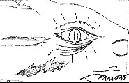 Z_Dragon_01.jpg (9791 octets)