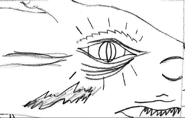 Z_Dragon_01.jpg (59320 octets)